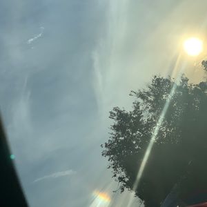 Meet your Posher, Dante